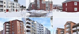 Guide to Skellefteå's housing market: How to find an apartment