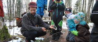 Skogstur med spår av djur