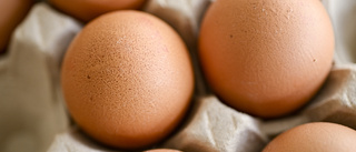 Sveriges största äggproducent stoppar alla leveranser