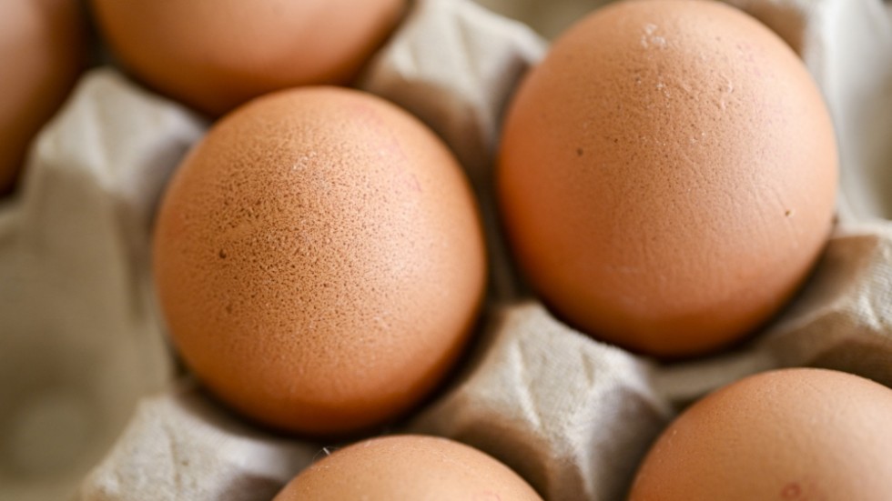 Ägg stoppas efter att salmonellabakterier hittats. Arkivbild.