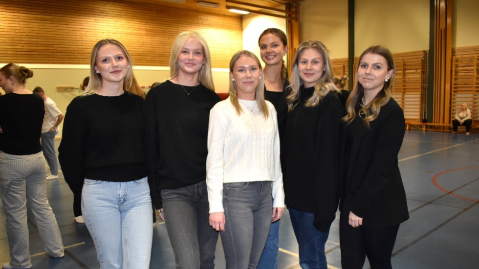 Balkommittén består av elever från både årskurs två och tre. Från vänster: Saga Niklasson, Filippa Stejdahl, Amanda Carlsson, Emma Karlsson, Emilia Nachtweij och Emma Kulas. 
