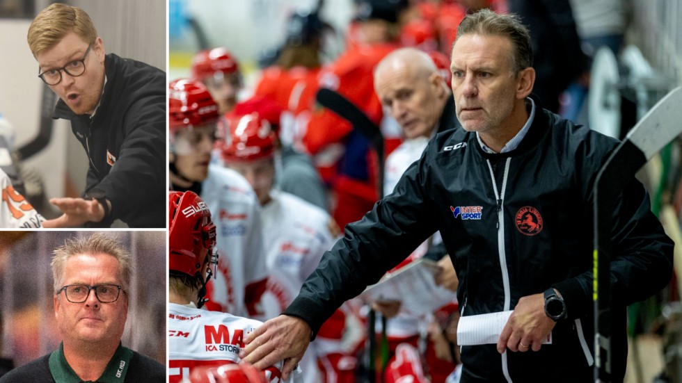 Sporten spekulerarar kring tänkbara tränarnamn i Vimmerby Hockey. Här ser ni tre av dem: Eric Karlsson, Per Ljusteräng och Johan Benker.
