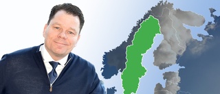 Så vill Node Poles vd locka företag till Sverige:”Vi kan bidra till det globala”