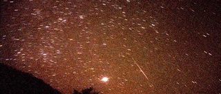 Astronomen: Så ser du meteorskuren bäst i natt