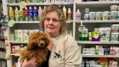 Nu kan alla hjälpa hundar i Ukraina – Ewelyn Nordsten på Djuraffären samlar in gåvorna: "Önskar att jag kunde göra mer"