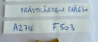 Sveriges äldsta katt funnen i Rasbo