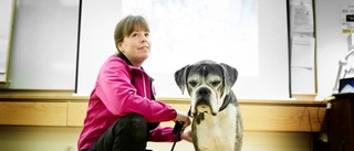 Vårdhunden fyller tio – Uppsala först i landet