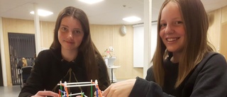 Elever från Björkskolan vann vetenskapstävling