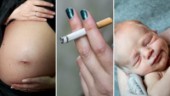 Allt färre gravida röker • Så många gravida röker i Skellefteå • Fostret utsätts för skadliga ämnen