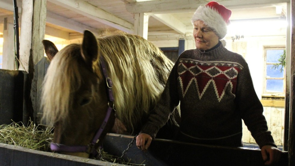 "Stallet är den mysigaste platsen att vara i på jul", säger Annelie Svensson, här med hästen Tilja. Kanske var det inte en slump att Jesus-barnet föddes just i ett stall?