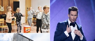 Stjärnan återvänder till Skellefteå • Uppträder i Sara kulturhus – sjunger barnens sånger: ”Dikterna är fantastiska”
