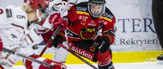 Seger för Luleå Hockey efter show av Nordin