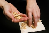 Studie: Nötter kan stoppa allergi