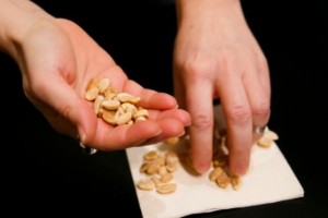 Studie: Nötter kan stoppa allergi