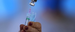 Studie inledd av omikronanpassat vaccin