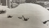 En snöig återblick i tidningsarkivet – så var vintern för 20 år sedan