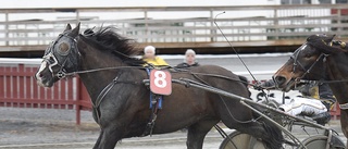 Sandra skrällde i premiären