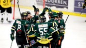 ESK Hockey vill starta ett andralag: "Finns ett glapp"