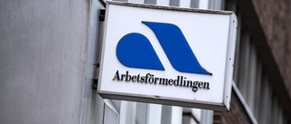 Debatt: Nedmonteringen av Arbetsförmedlingen är ett svek