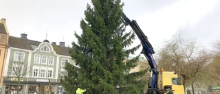 Nu är julgranen på plats på Stortorget