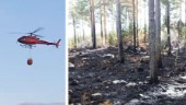 Bolaget: Oförsiktig eldning bakom stora skogsbranden • Kostade markägaren en halv miljon