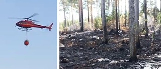Bolaget: Oförsiktig eldning bakom stora skogsbranden • Kostade markägaren en halv miljon