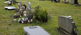 Vandalisering på Mariefreds kyrkogård – igen