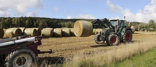 KRF och VRF har säkrat vinterfodret