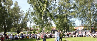 Midsommaridéer eftersöks