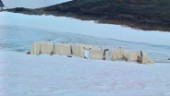 Ullfilt skyddar glaciär vid Kebnekaise