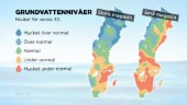 Lågt grundvatten i halva Sverige