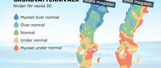Lågt grundvatten i halva Sverige