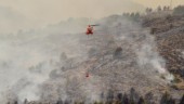 Skogsbränder rasar i Spanien och Portugal