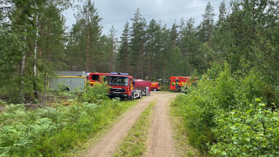 Brandbilar i skogen under tisdagens skogsbrand.