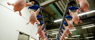 Handlarna måste ställa högre krav på köttindustrin