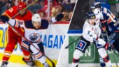 Tidigare Skellefteåbackar bortgallrade från Edmonton – flyttas till AHL