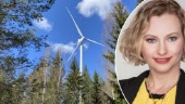 "Därför engagerar jag mig så starkt i vindkraftsfrågan – trots att jag är stockholmare"