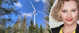 "Därför engagerar jag mig så starkt i vindkraftsfrågan – trots att jag är stockholmare"