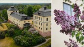 Nu kan du få ta med en unik bit av Löfstad slott hem till trädgården