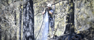 Stora drönare kan ge hjälp mot skogsbränder
