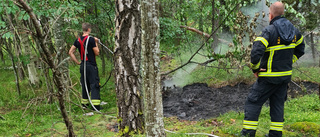 Gräsbrand på ö norr om Västervik släcktes snabbt