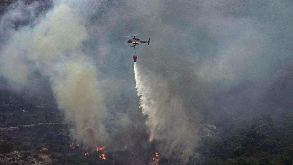 En helikopter släpper ner vatten i ett skogsområde i provinsen Oristano på Sardinien.