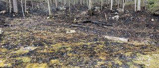 Äldre man död efter brand i Mariefred