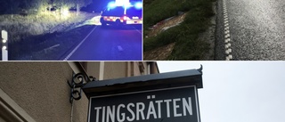 Den åtalade: "Jag förstår att jag gjort ett allvarligt misstag"