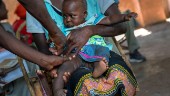 Positiva resultat om möjligt malariavaccin