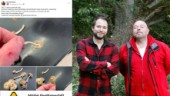 Sörmlänningarnas Facebookgrupp räddade livet på valp: "Ner och gräv i spyan"