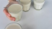 Servera klimatsmart havremjölk på skolmjölkens dag