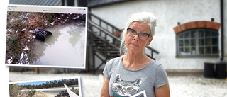 Hon polisanmäler Cementa för miljöbrott: "Vatten leds fortfarande ut i Anerån"