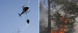 Risk för skogsbrand i stora delar av Västerbotten