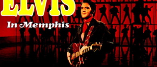 Rekordpris för Elvis svenskbyggda gitarr